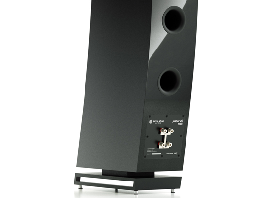Pylon Audio Jasper 25 MKII - cecha 1
